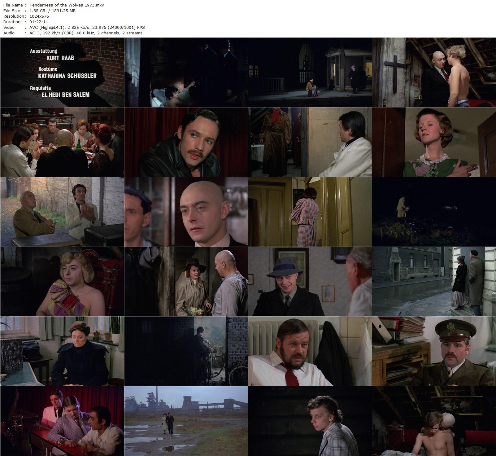 Tenderness of the Wolves AKA Die Zärtlichkeit der Wölfe (1973) Ulli Lommel, Kurt Raab, Jeff Roden, Margit Carstensen, Ingrid Caven-poster