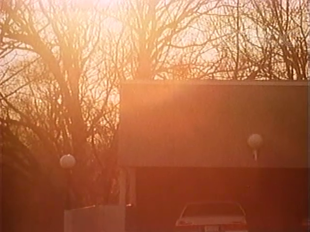 Tending Towards the Horizontal (1989) | Worldscinema | Download Free-poster