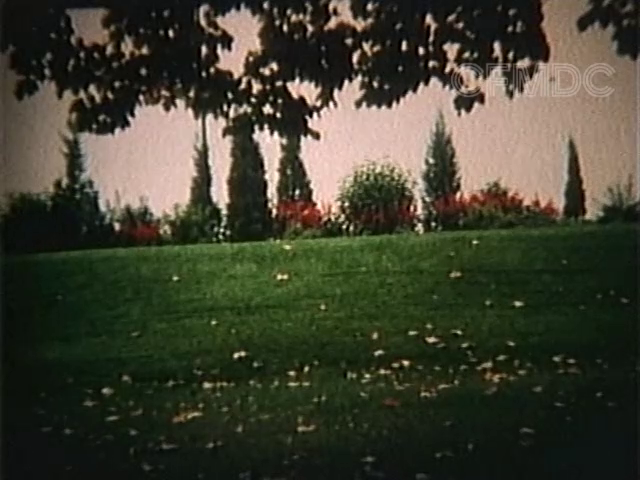 Tending Towards the Horizontal (1989) | Worldscinema | Download Free-poster