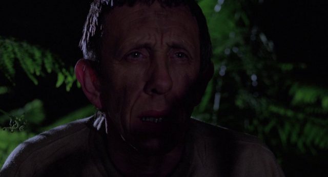 Norman J. Warren - Terror (1978)-poster