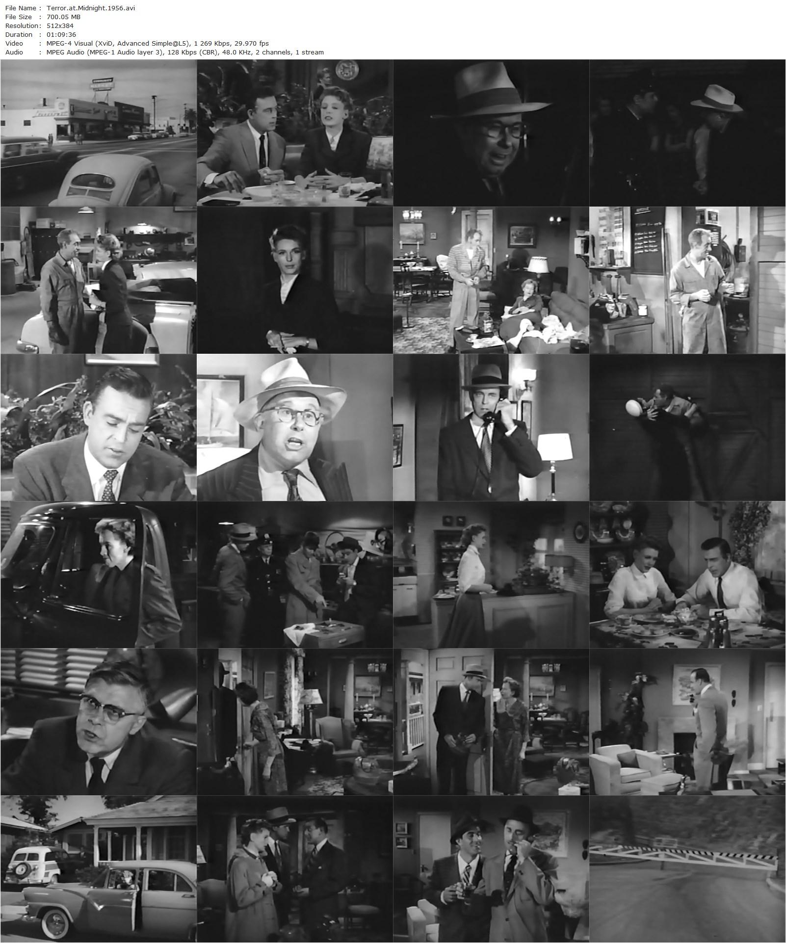 Terror at Midnight (1956) Franklin Adreon-poster