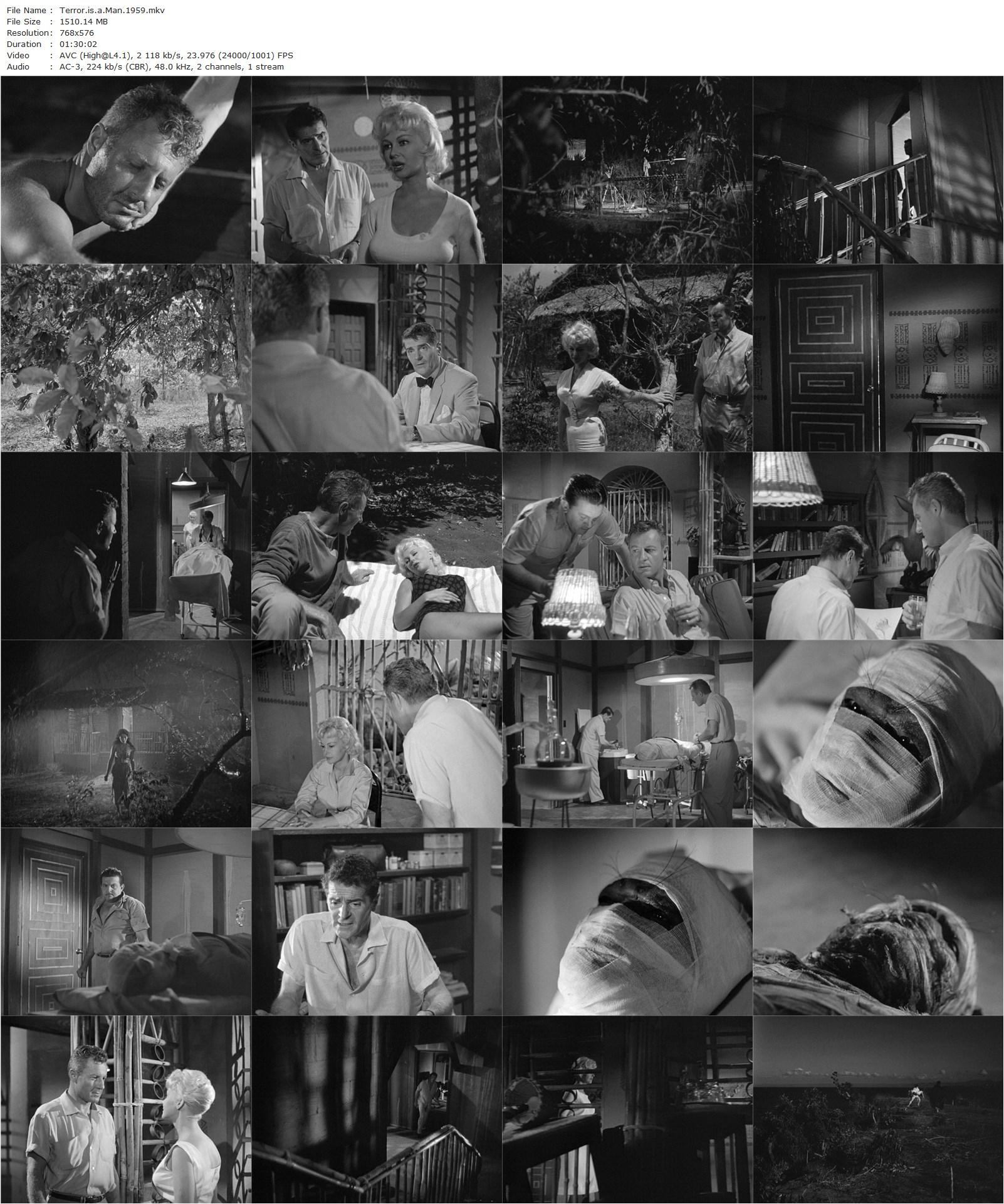 Terror Is a Man (1959) Gerardo de Leon, Eddie Romero, Francis Lederer, Greta Thyssen, Richard Derr-poster