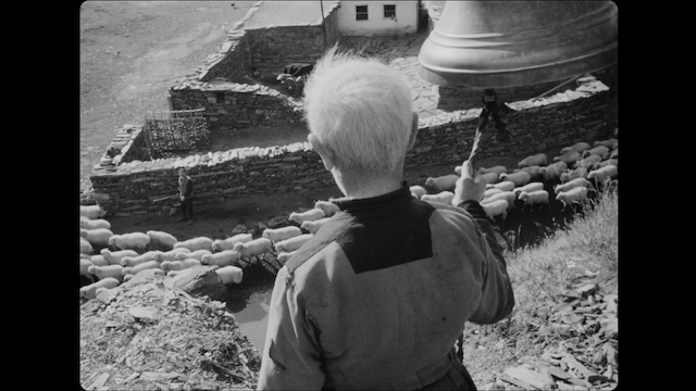 Tetri karavani (1963)-poster