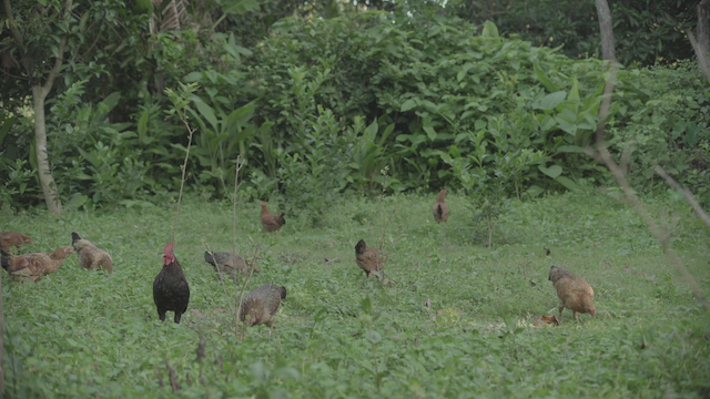 That Cloud Never Left (2019)-poster