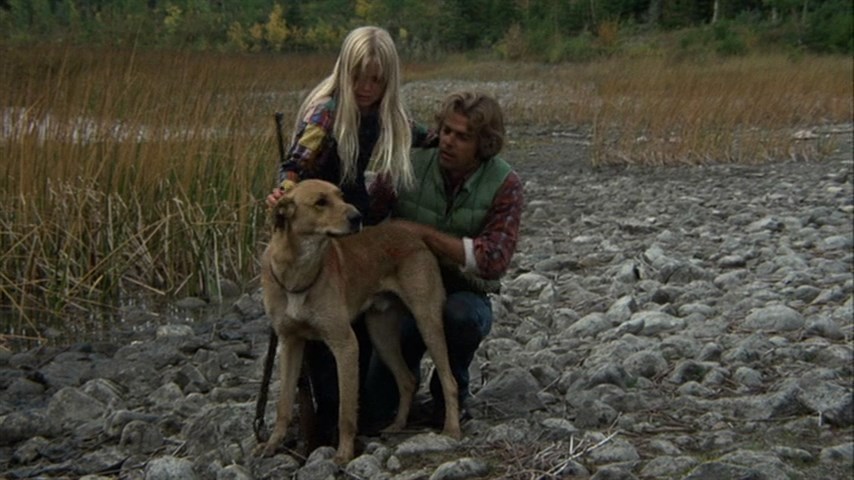 The Adventures of the Wilderness Family (1975) Stewart Raffill, Robert Logan, Susan Damante, Hollye Holmes, Family, Adventure, Drama-poster