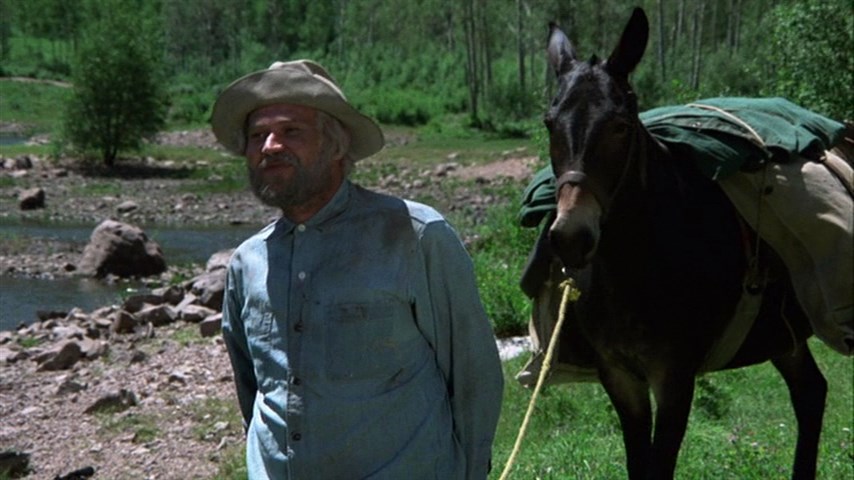 The Adventures of the Wilderness Family (1975) Stewart Raffill, Robert Logan, Susan Damante, Hollye Holmes, Family, Adventure, Drama-poster