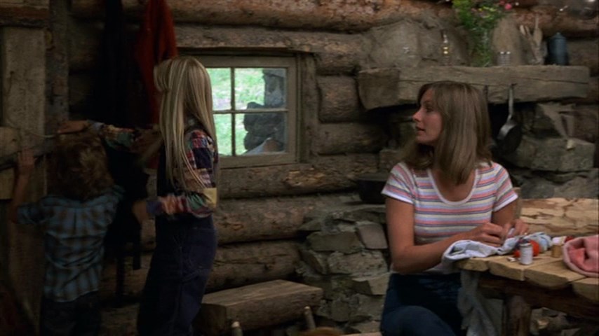 The Adventures of the Wilderness Family (1975) Stewart Raffill, Robert Logan, Susan Damante, Hollye Holmes, Family, Adventure, Drama-poster