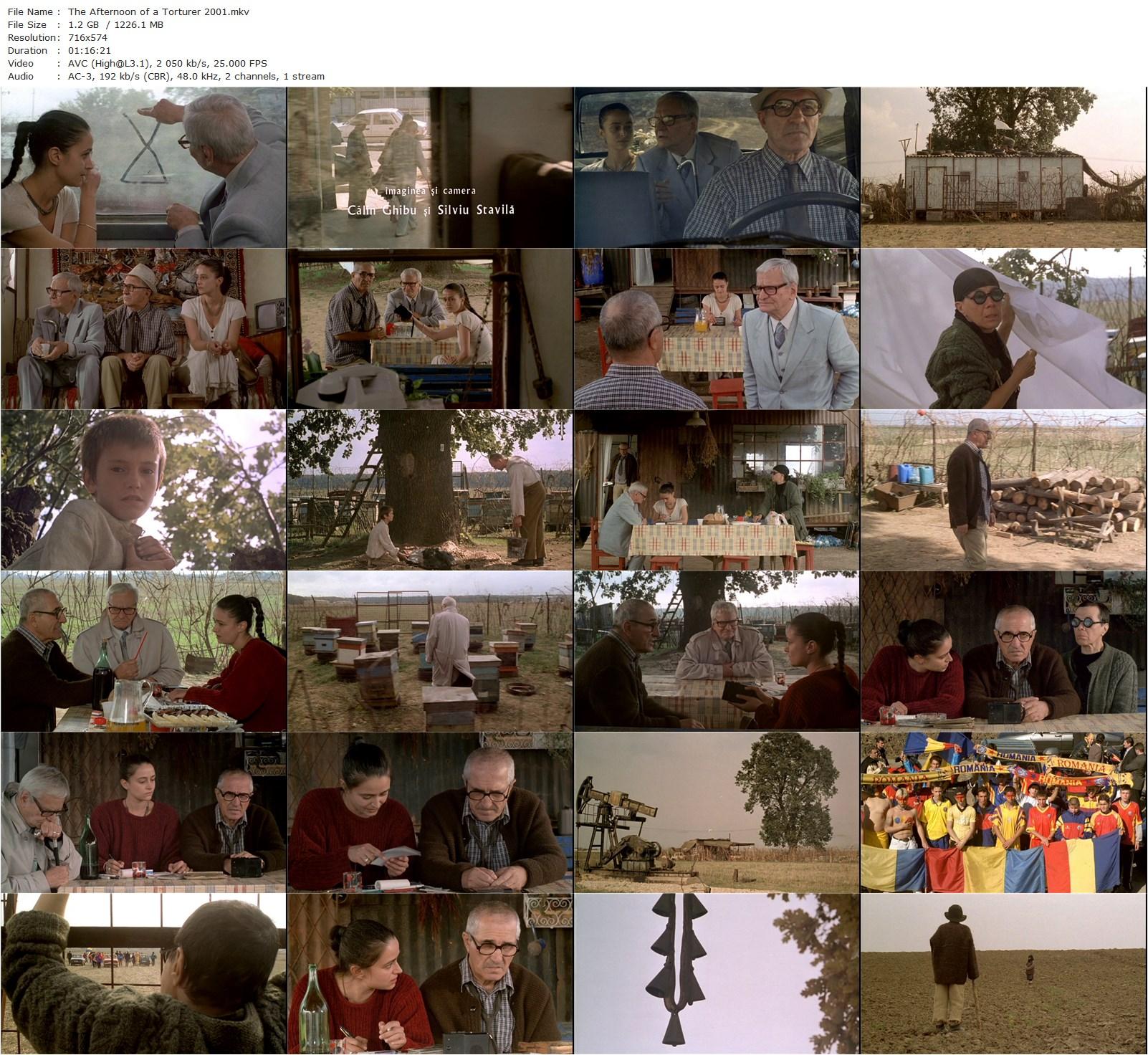 The Afternoon of a Torturer AKA Dupa-amiaza unui tortionar (2001) Lucian Pintilie, Gheorghe Dinica, Radu Beligan, Ioana Ana Macaria-poster