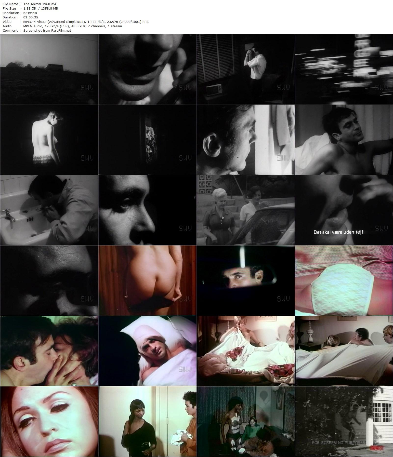 The Animal (1968) Lee Frost, John Alderman, Virginia Gordon, Armand Atamian-poster