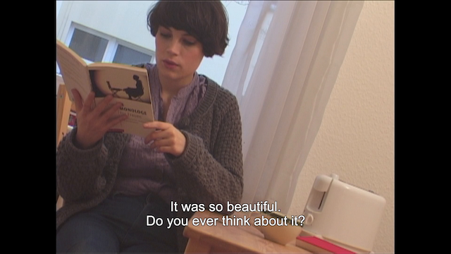 The Apologies (2010) by Hal Hartley-poster