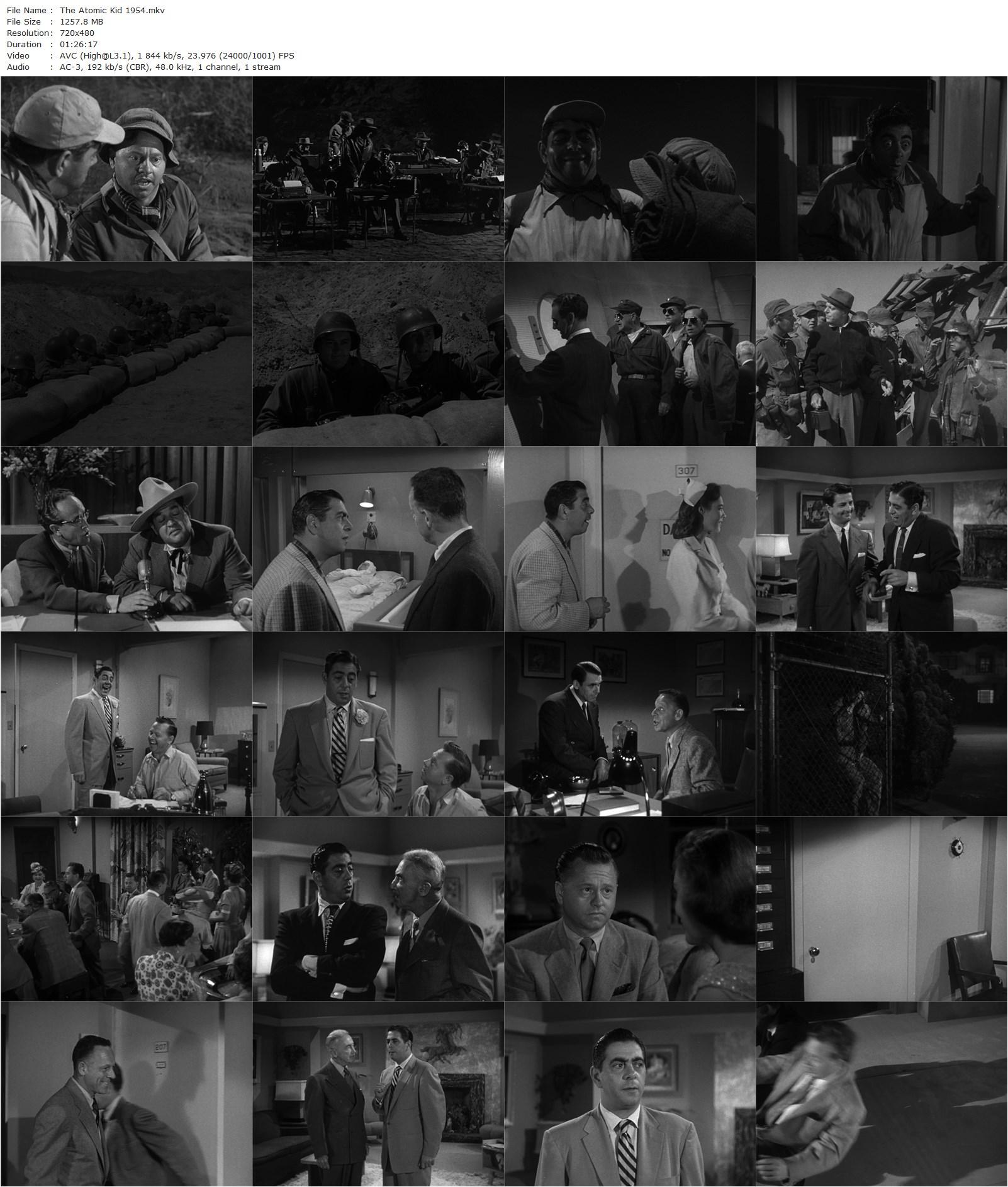 The Atomic Kid (1954) Leslie H. Martinson, Mickey Rooney, Robert Strauss, Elaine Devry-poster