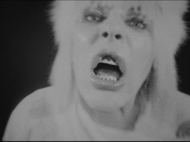 The Ballad of Genesis and Lady Jaye (2011) by Marie Losier-poster