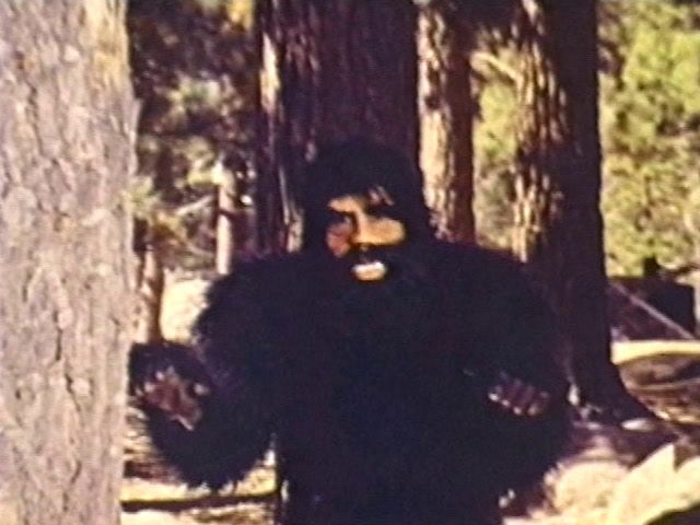 The Beauties and the Beast / The Beast and the Vixens (1974) Ray Nadeau, Jacqueline Giroux, Uschi Digard, Marius Mazmanian, Adventure, Comedy, Horror, Erotic-poster