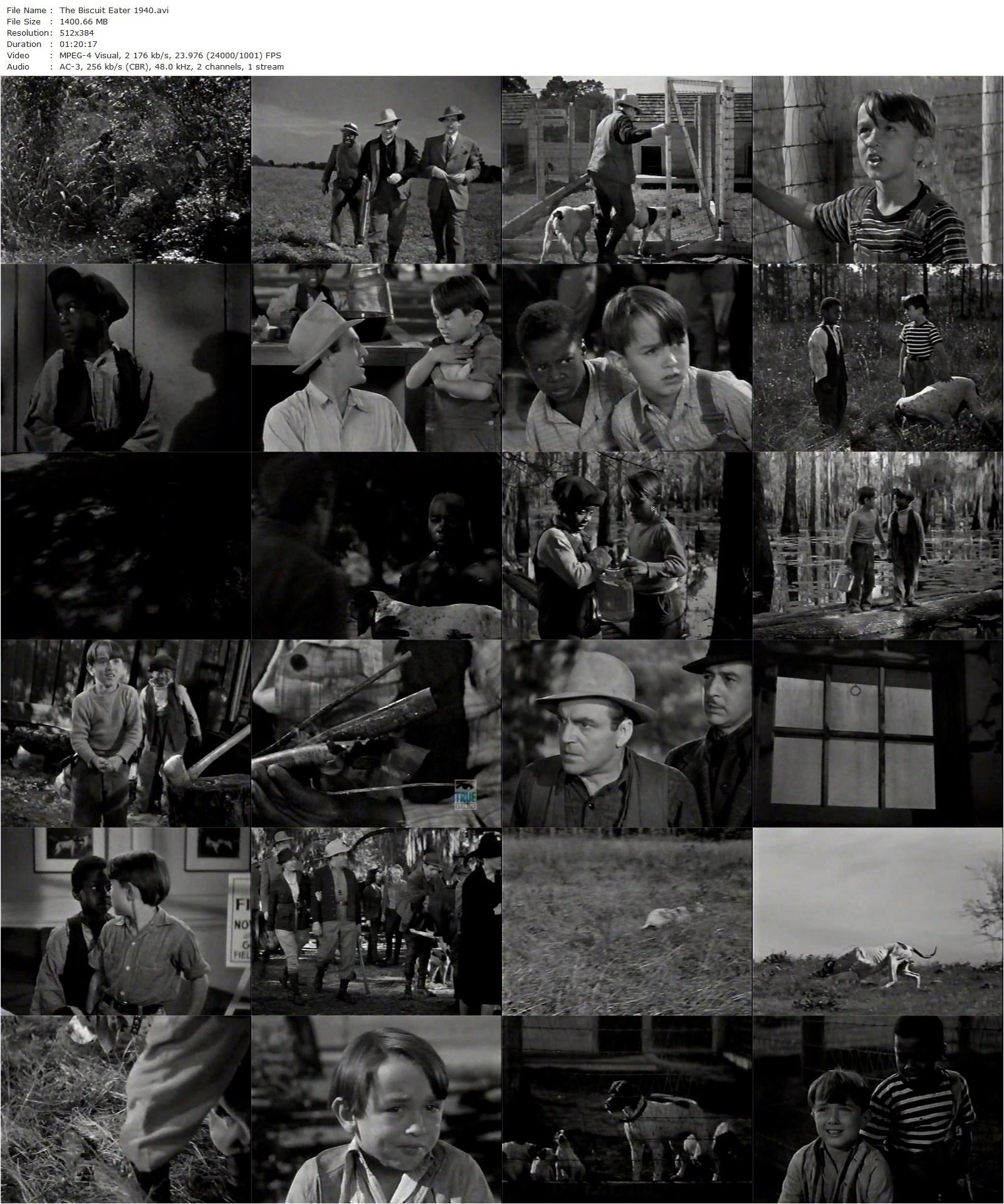 The Biscuit Eater (1940) Stuart Heisler, Billy Lee, Cordell Hickman, Richard Lane-poster