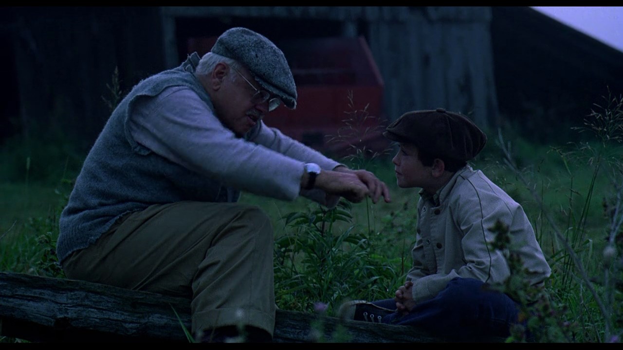 The Black Stallion (1979) Carroll Ballard, Kelly Reno, Mickey Rooney, Teri Garr, Adventure, Family, Sport-poster