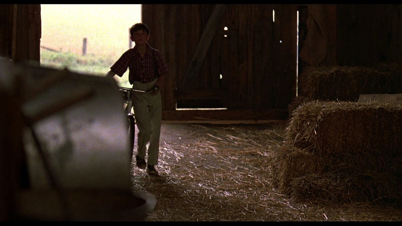 The Black Stallion (1979) Carroll Ballard, Kelly Reno, Mickey Rooney, Teri Garr, Adventure, Family, Sport-poster