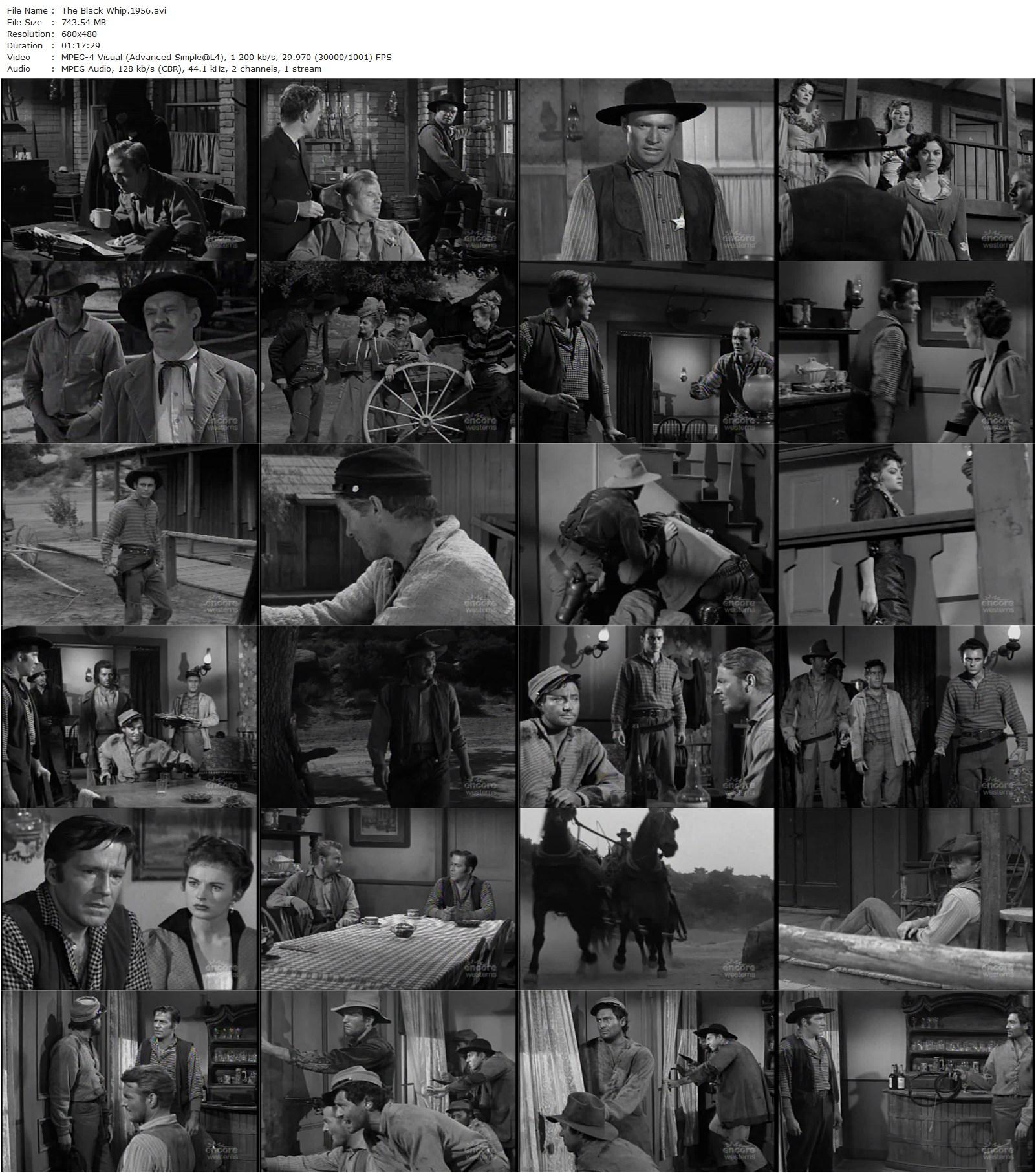 The Black Whip (1956) Charles Marquis Warren, Hugh Marlowe, Coleen Gray, Adele Mara-poster