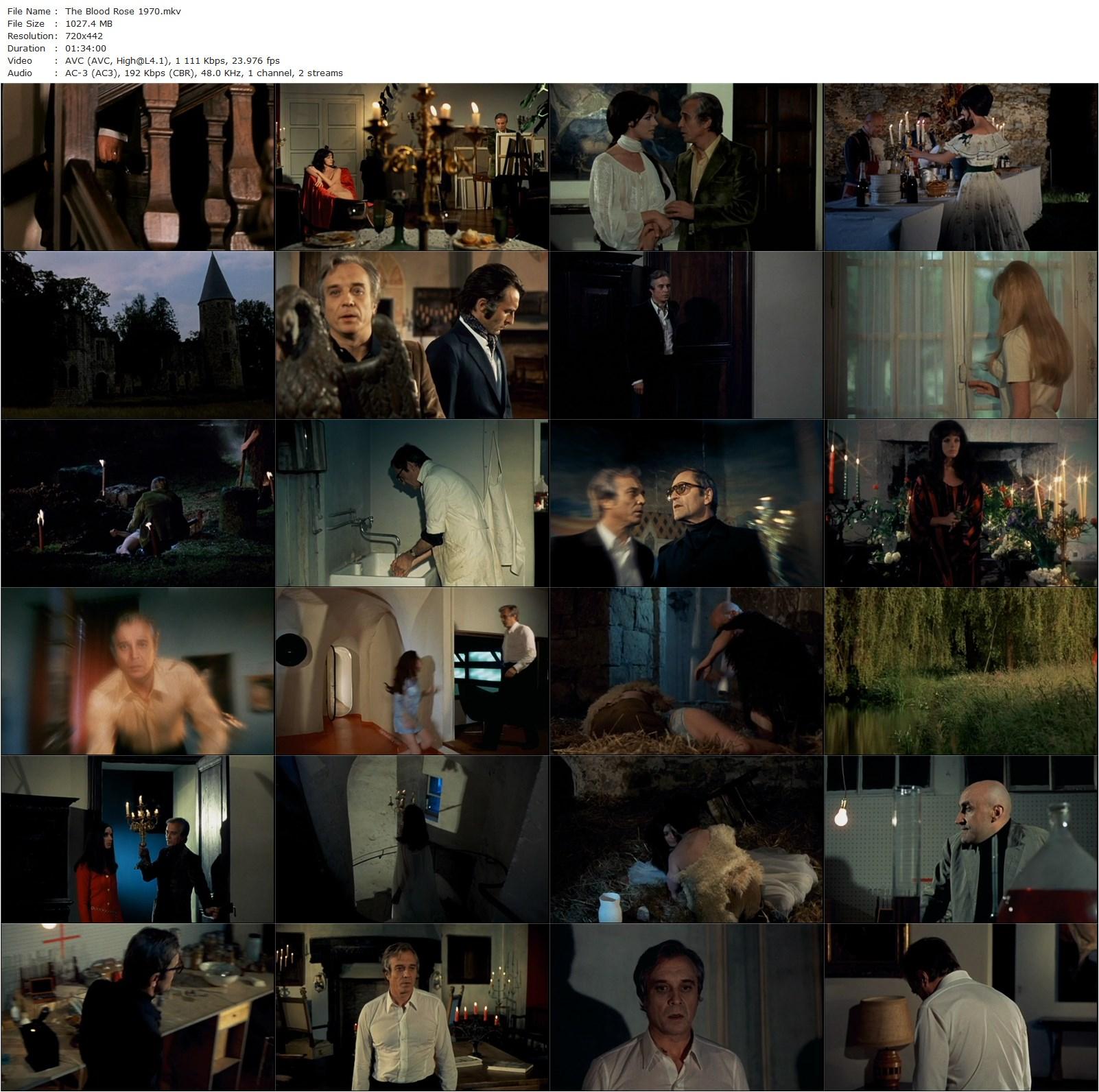 The Blood Rose (1970) Claude Mulot, Philippe Lemaire, Anny Duperey, Elizabeth Teissier-poster