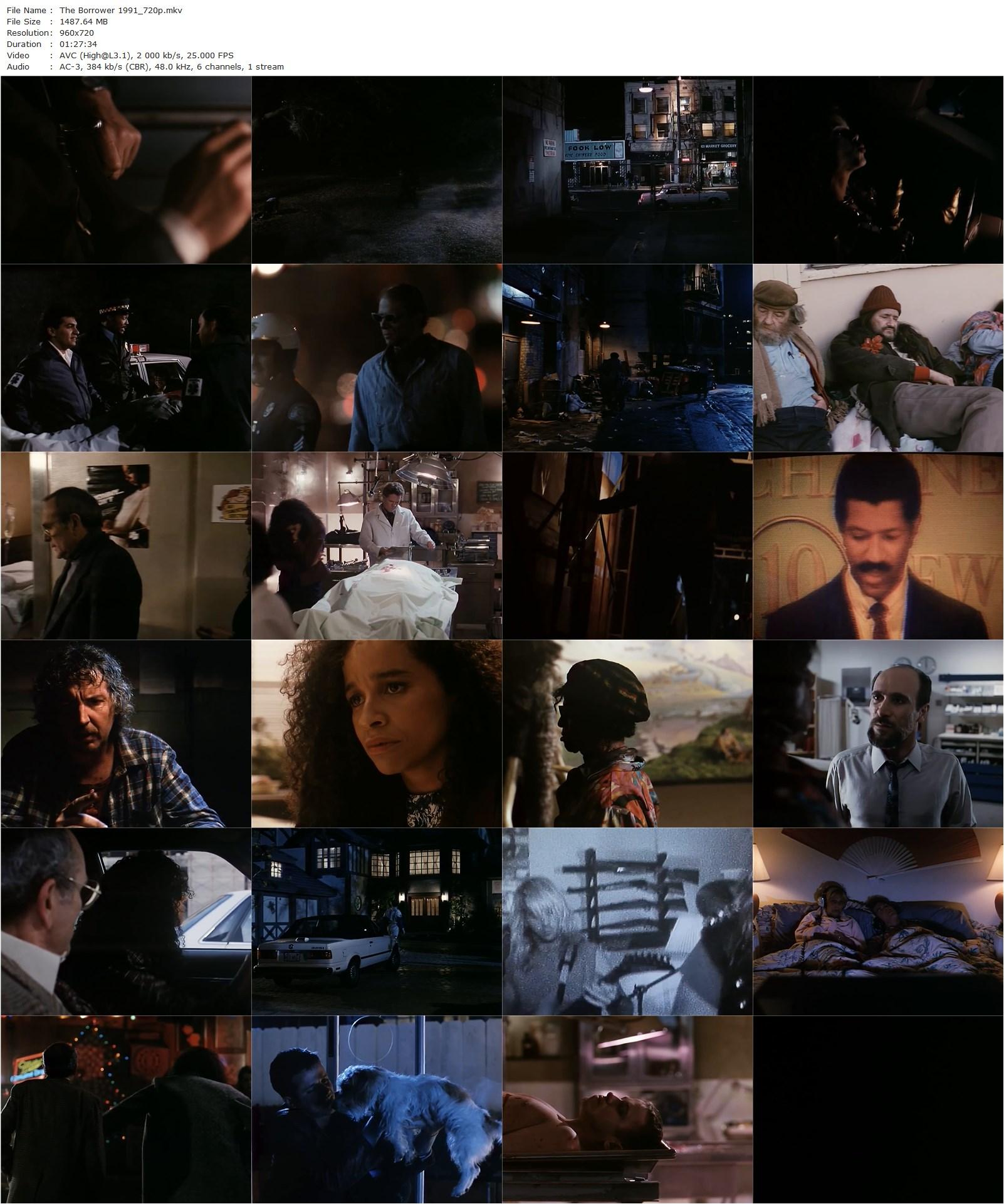 The Borrower (1991) John McNaughton, Rae Dawn Chong, Don Gordon, Tom Towles-poster