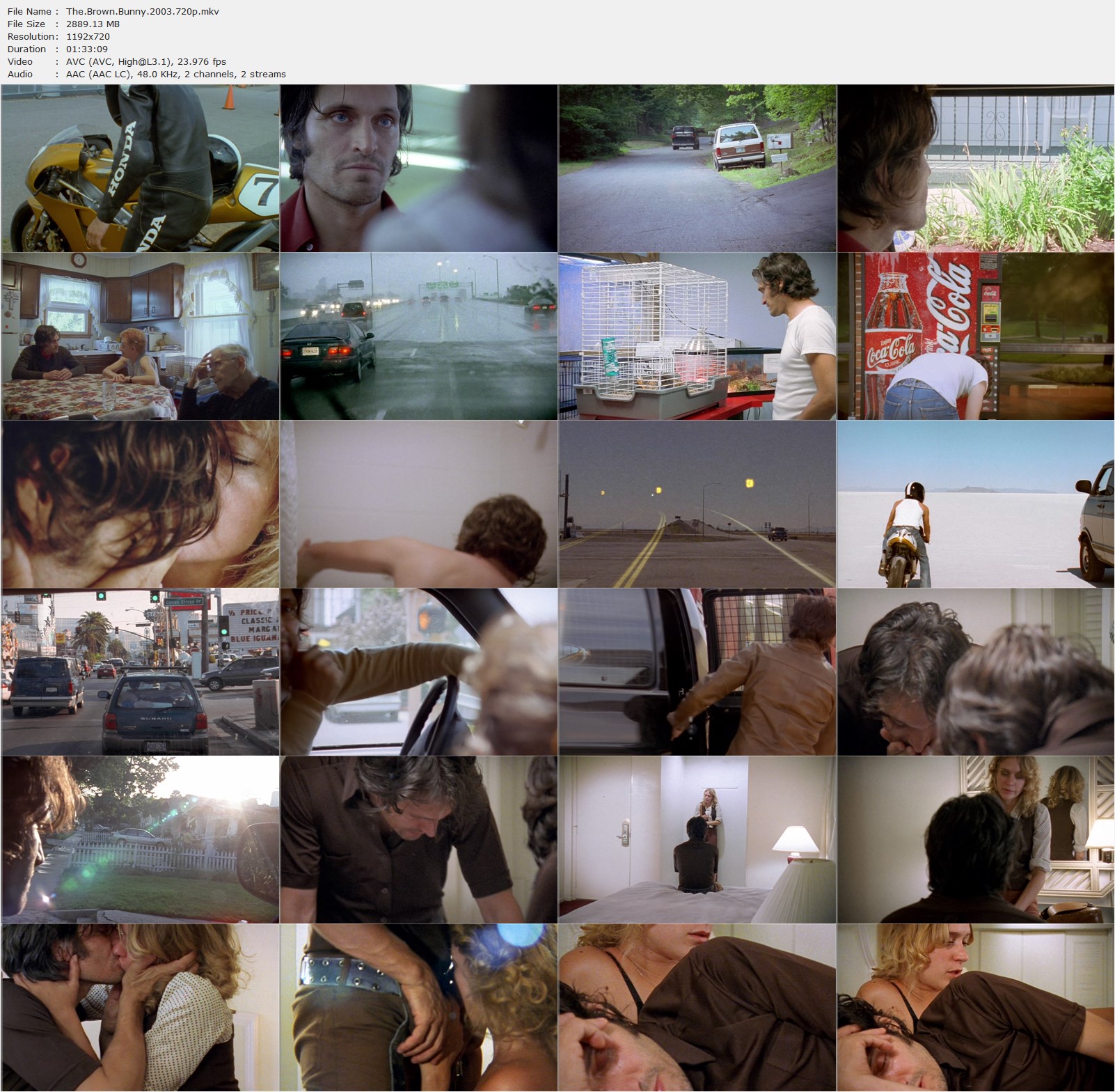 The Brown Bunny (2003) Vincent Gallo, Chloë Sevigny, Cheryl Tiegs, Drama-poster