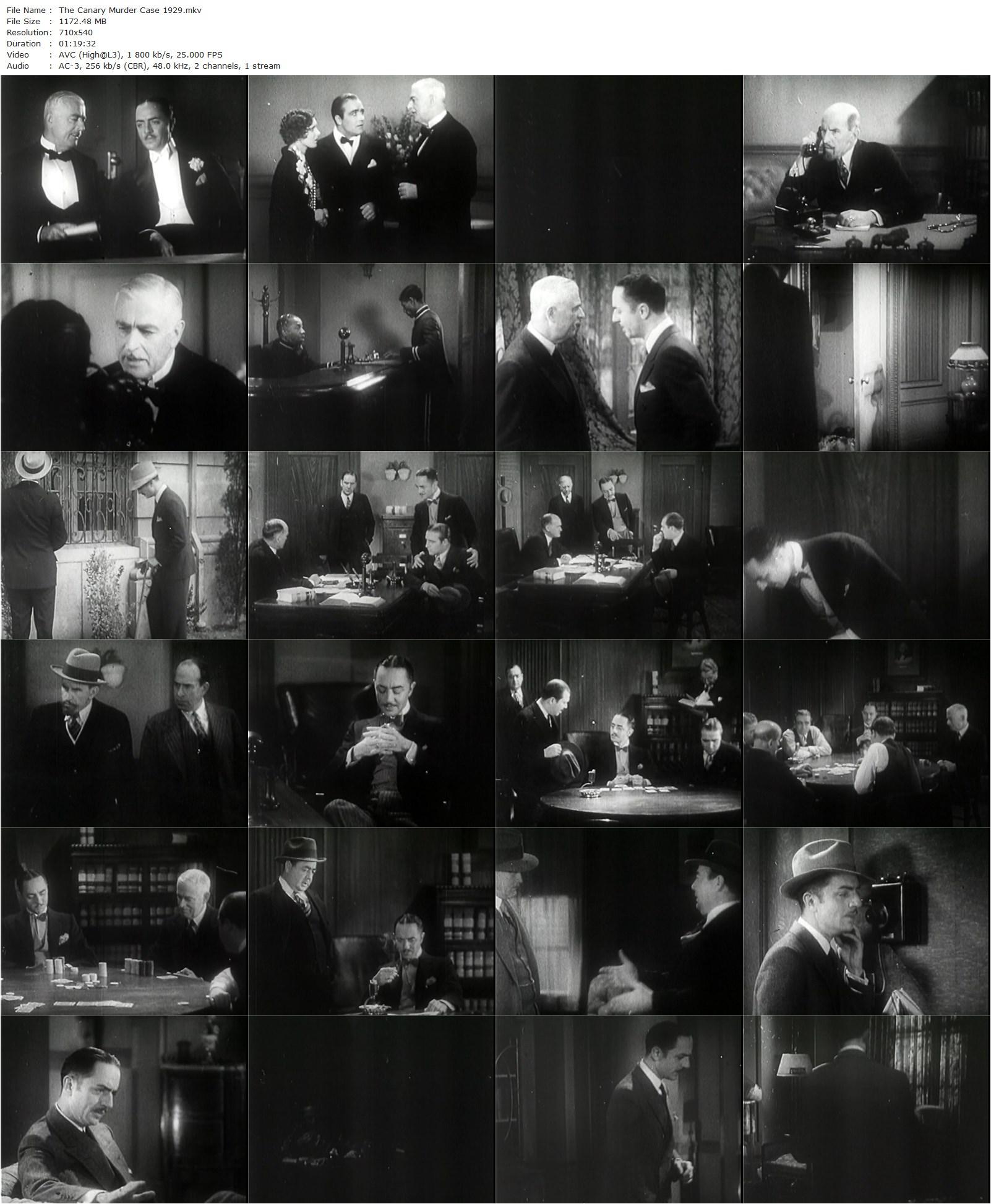 The Canary Murder Case (1929) Malcolm St. Clair, Frank Tuttle, William Powell, Jean Arthur, James Hall-poster