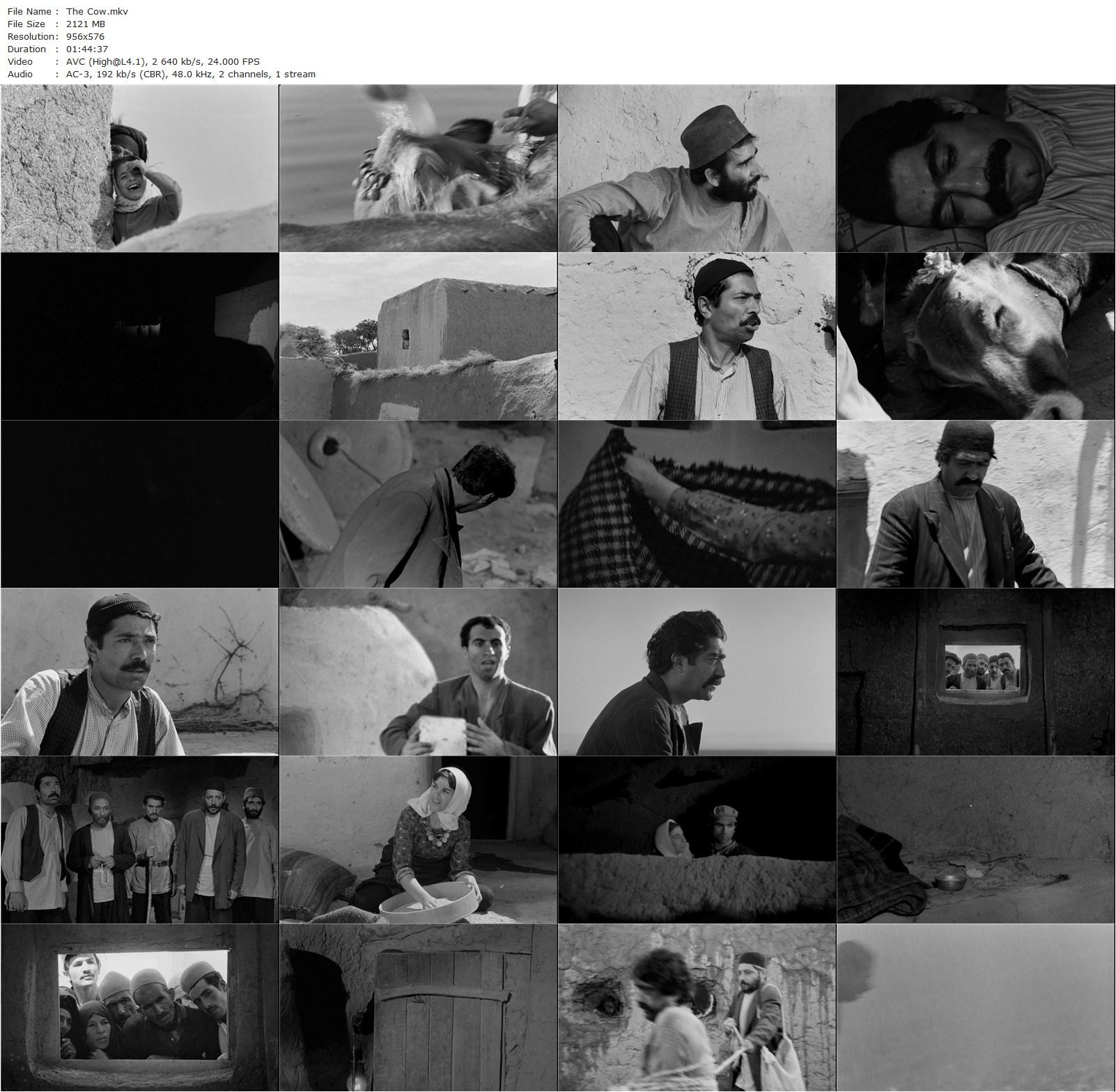 The Cow AKA Gaav (1969) Dariush Mehrjui, Ezzatolah Entezami, Mahin Shahabi, Ali Nassirian-poster