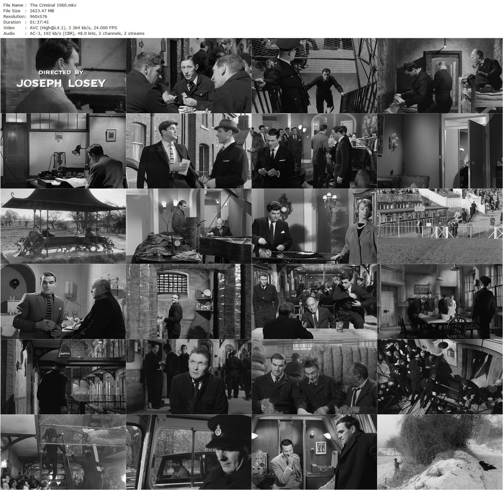 The Criminal (1960) Joseph Losey, Stanley Baker, Sam Wanamaker, Grégoire Aslan-poster