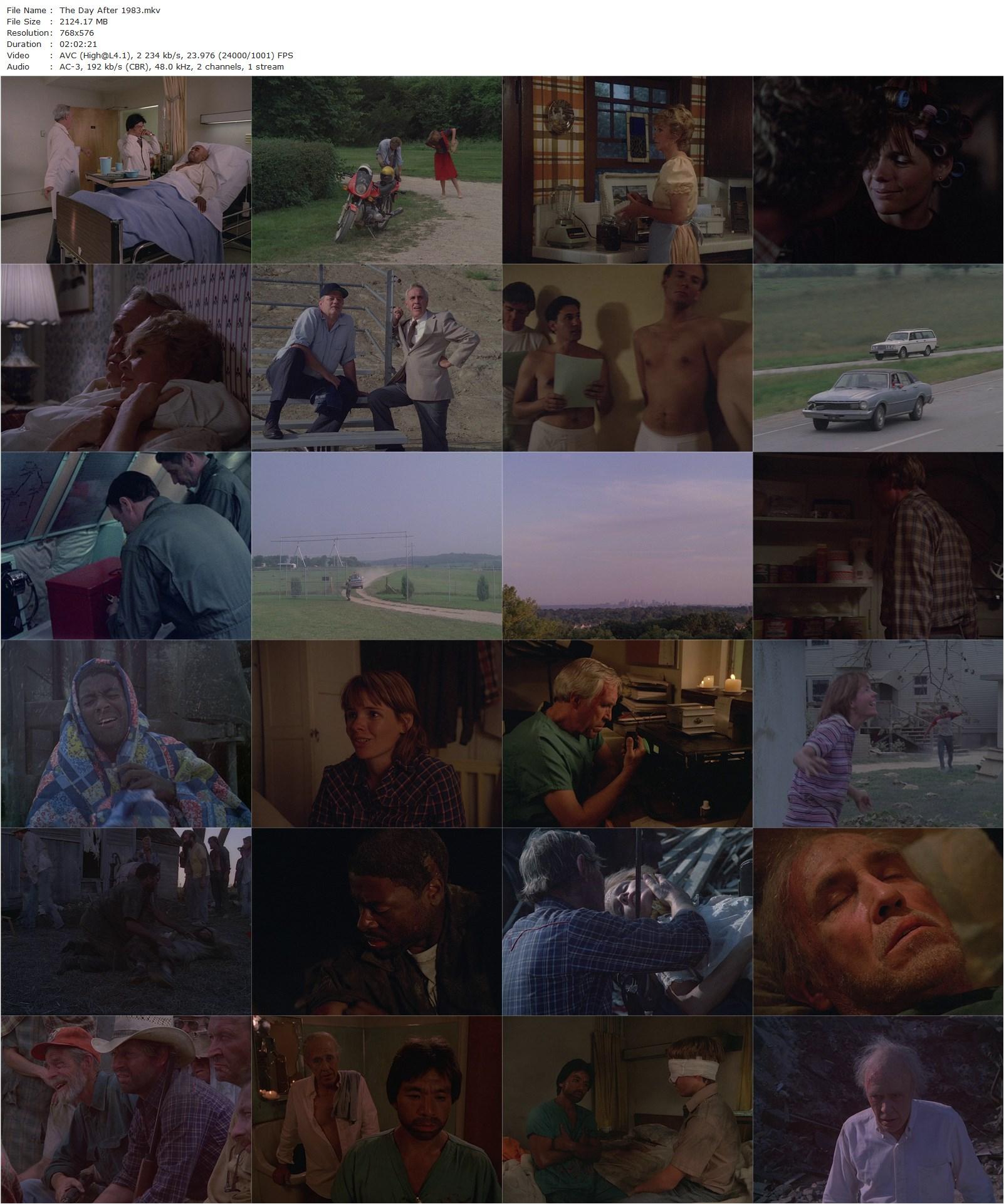 The Day After (1983) Nicholas Meyer, Jason Robards, JoBeth Williams, Steve Guttenberg-poster