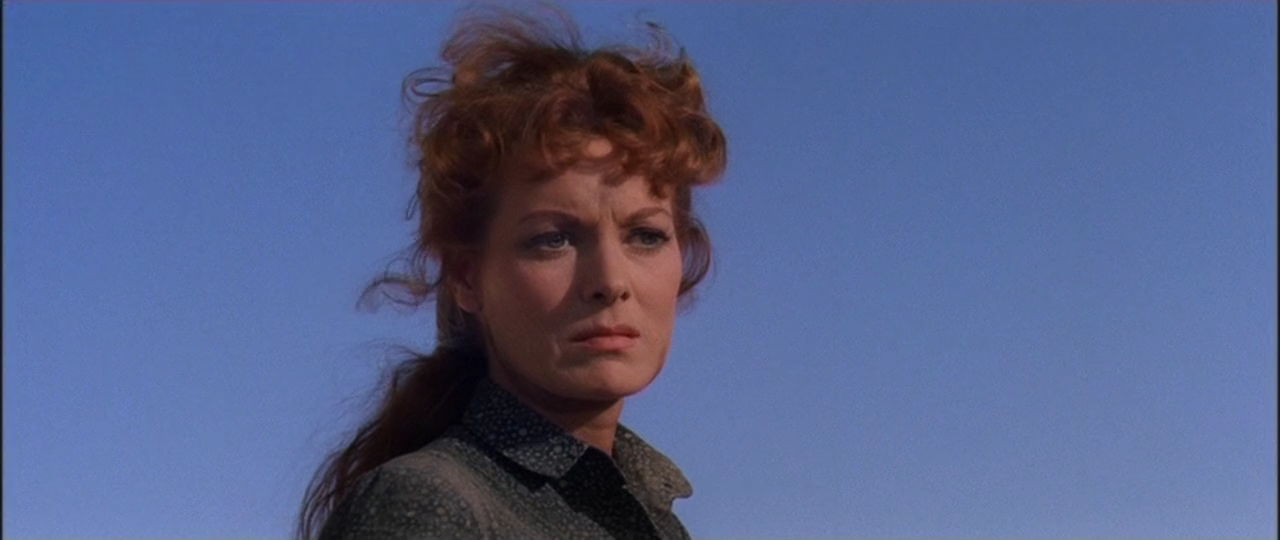 The Deadly Companions (1961) Sam Peckinpah, Maureen O’Hara, Brian Keith, Steve Cochran-poster