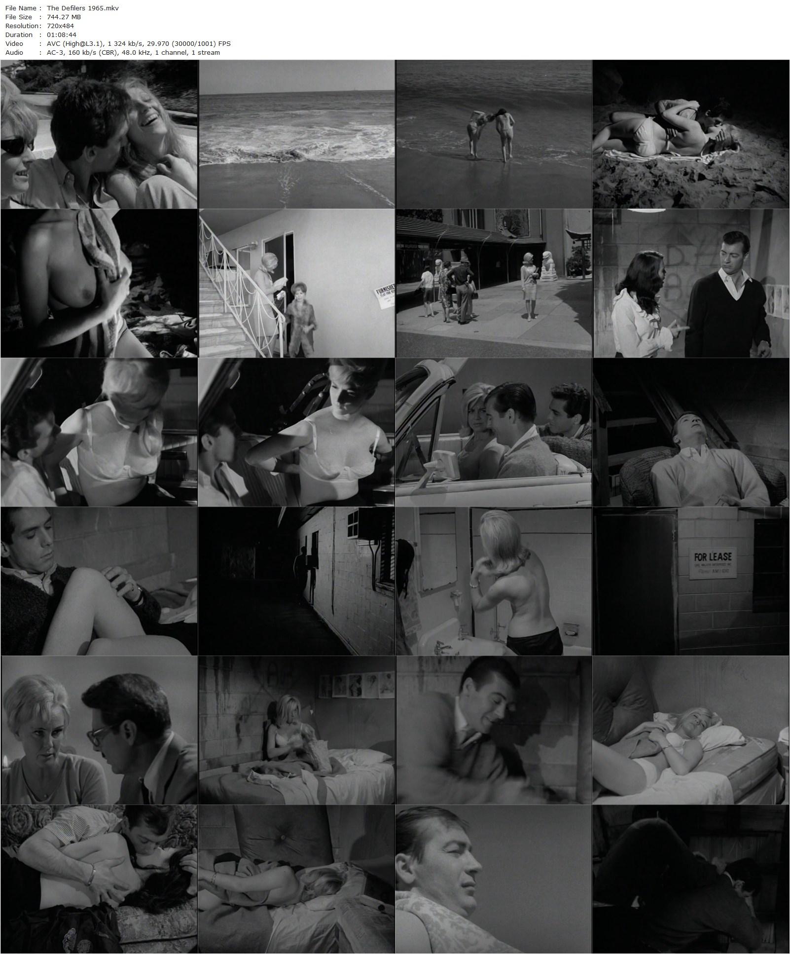 The Defilers (1965) Lee Frost, Byron Mabe, Jerome Eden, Mai Jansson-poster