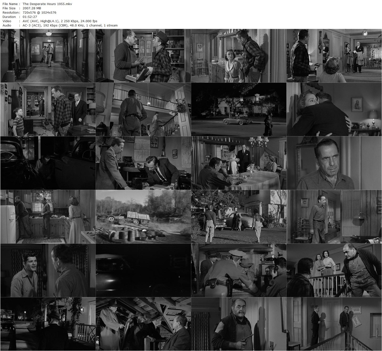 The Desperate Hours (1955) William Wyler, Humphrey Bogart, Fredric March, Arthur Kennedy-poster