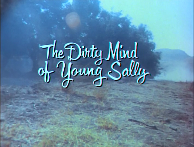 The Dirty Mind of Young Sally (1970)-poster
