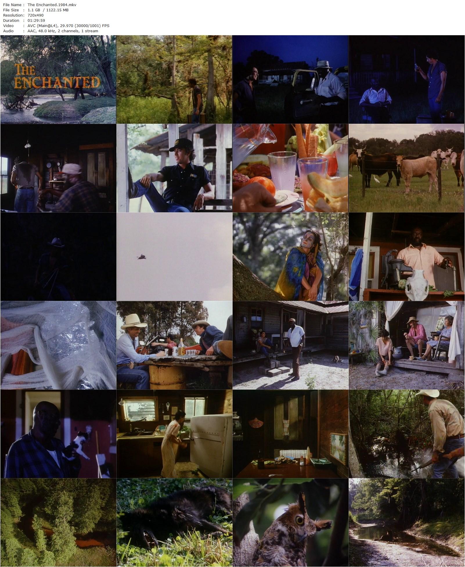 The Enchanted (1984) Carter Lord, Julius Harris, Will Sennett, Casey Blanton-poster