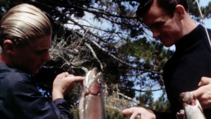 The Endless Summer (1966) Bruce Brown, Robert August, Michael Hynson, Lord James Blears, Documentary, Sport-poster