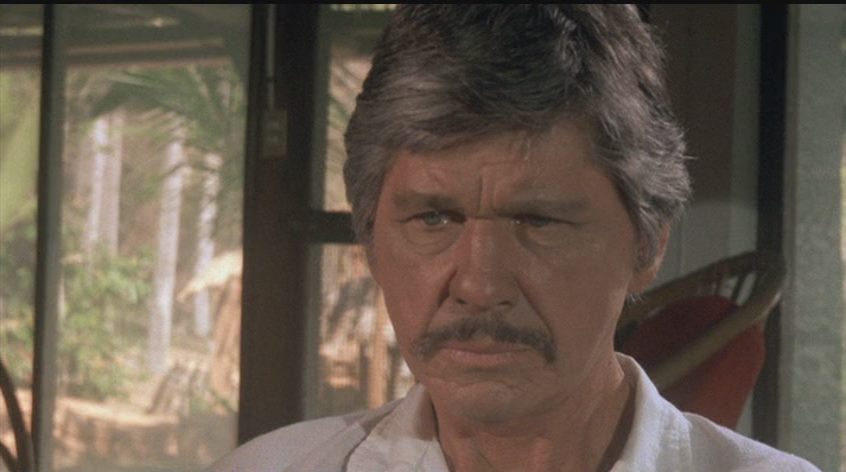 The Evil That Men Do (1984) J. Lee Thompson, Charles Bronson, Theresa Saldana, Joseph Maher, Action, Drama, Thriller-poster