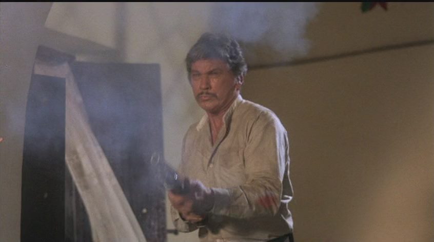 The Evil That Men Do (1984) J. Lee Thompson, Charles Bronson, Theresa Saldana, Joseph Maher, Action, Drama, Thriller-poster