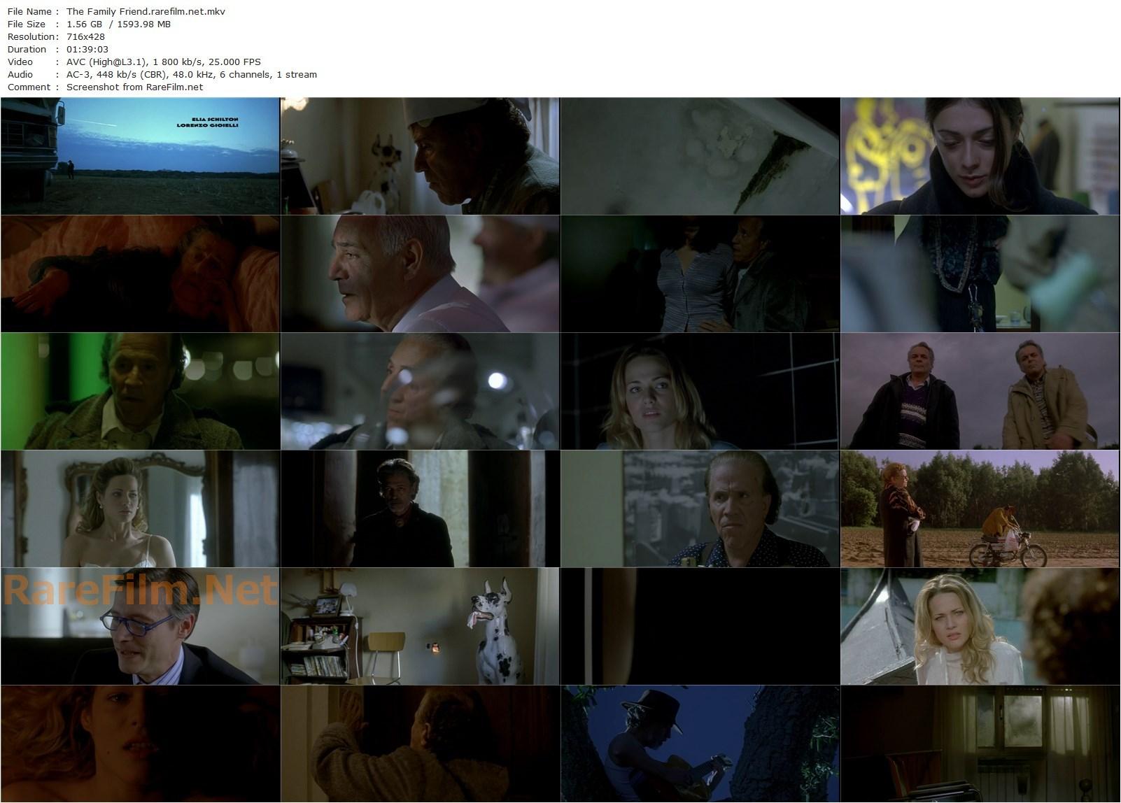 The Family Friend / L’amico di famiglia (2006) Paolo Sorrentino, Giacomo Rizzo, Laura Chiatti, Gigi Angelillo-poster