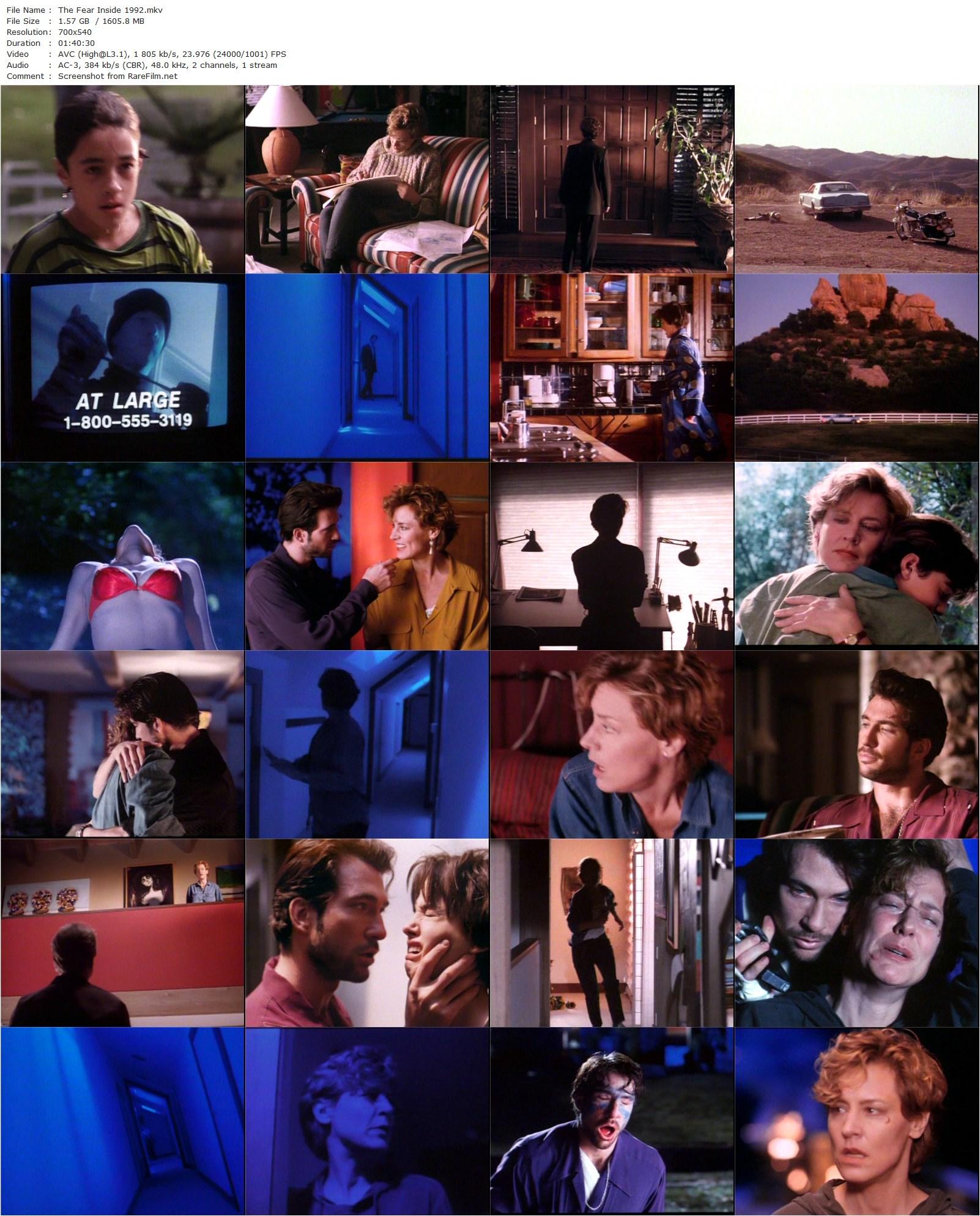 The Fear Inside (1992) Leon Ichaso, Christine Lahti-poster