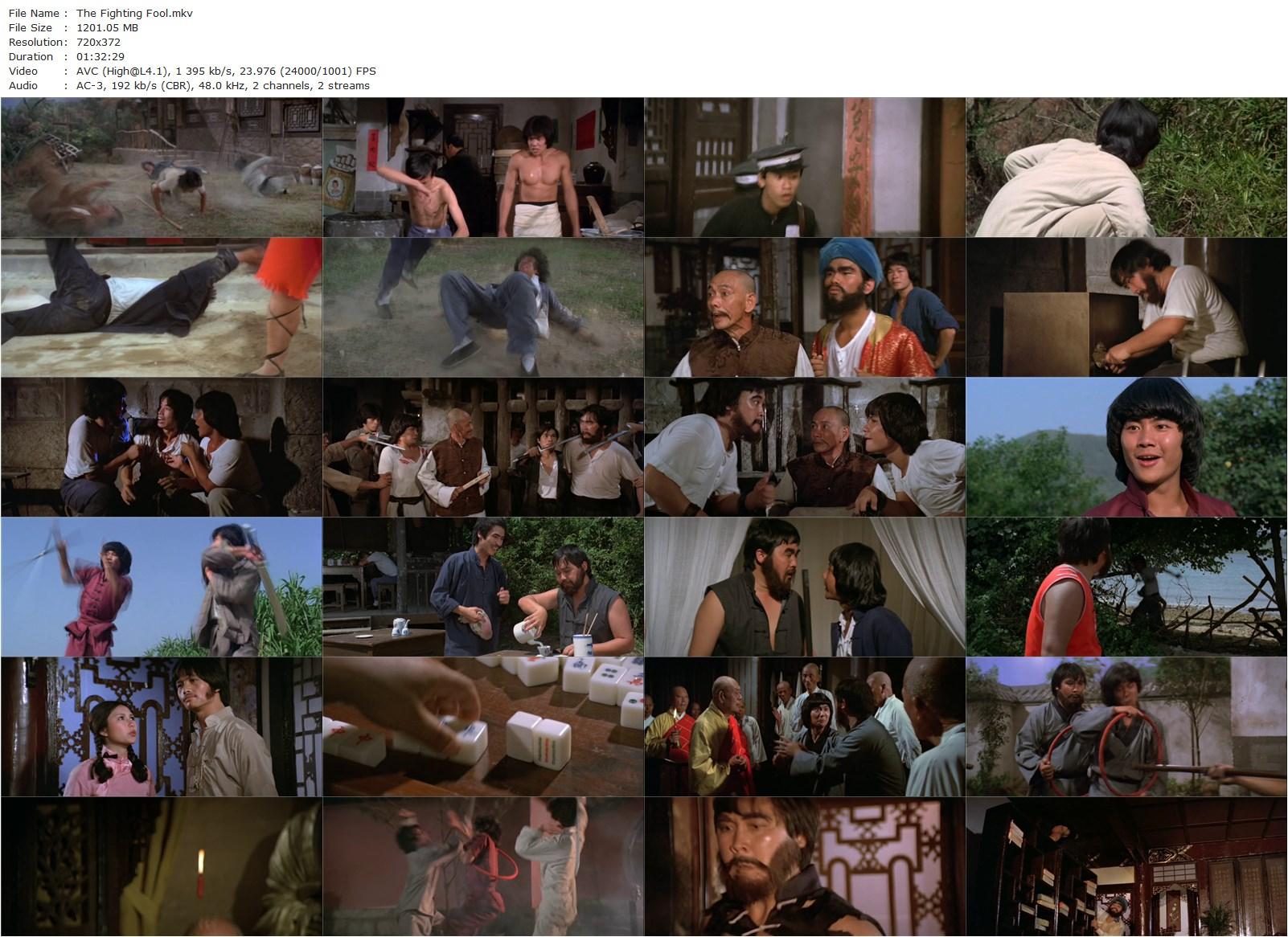 The Fighting Fool AKA Duo gun (1979) Hao-Chuan Yuan, Mar Lo, Yuen Man Meng, Wong Chun, Feng Kuan-poster