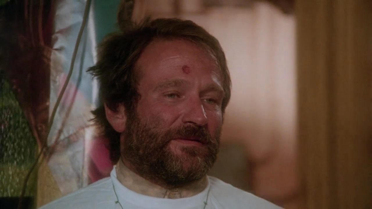 The Fisher King (1991) Terry Gilliam, Jeff Bridges, Robin Williams, Adam Bryant, Comedy, Drama, Fantasy-poster