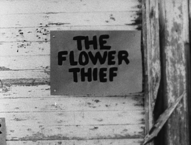 The Flower Thief (1960)