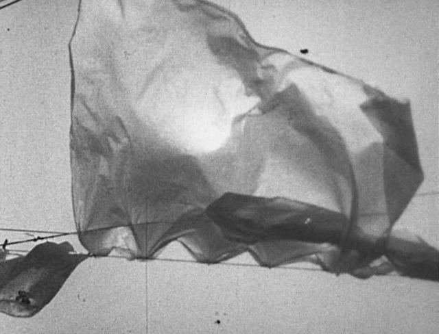 The Flower Thief (1960)-poster