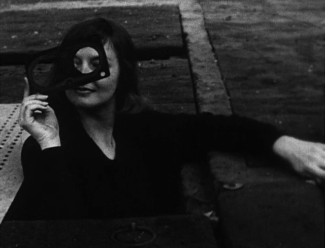 The Flower Thief (1960)-poster