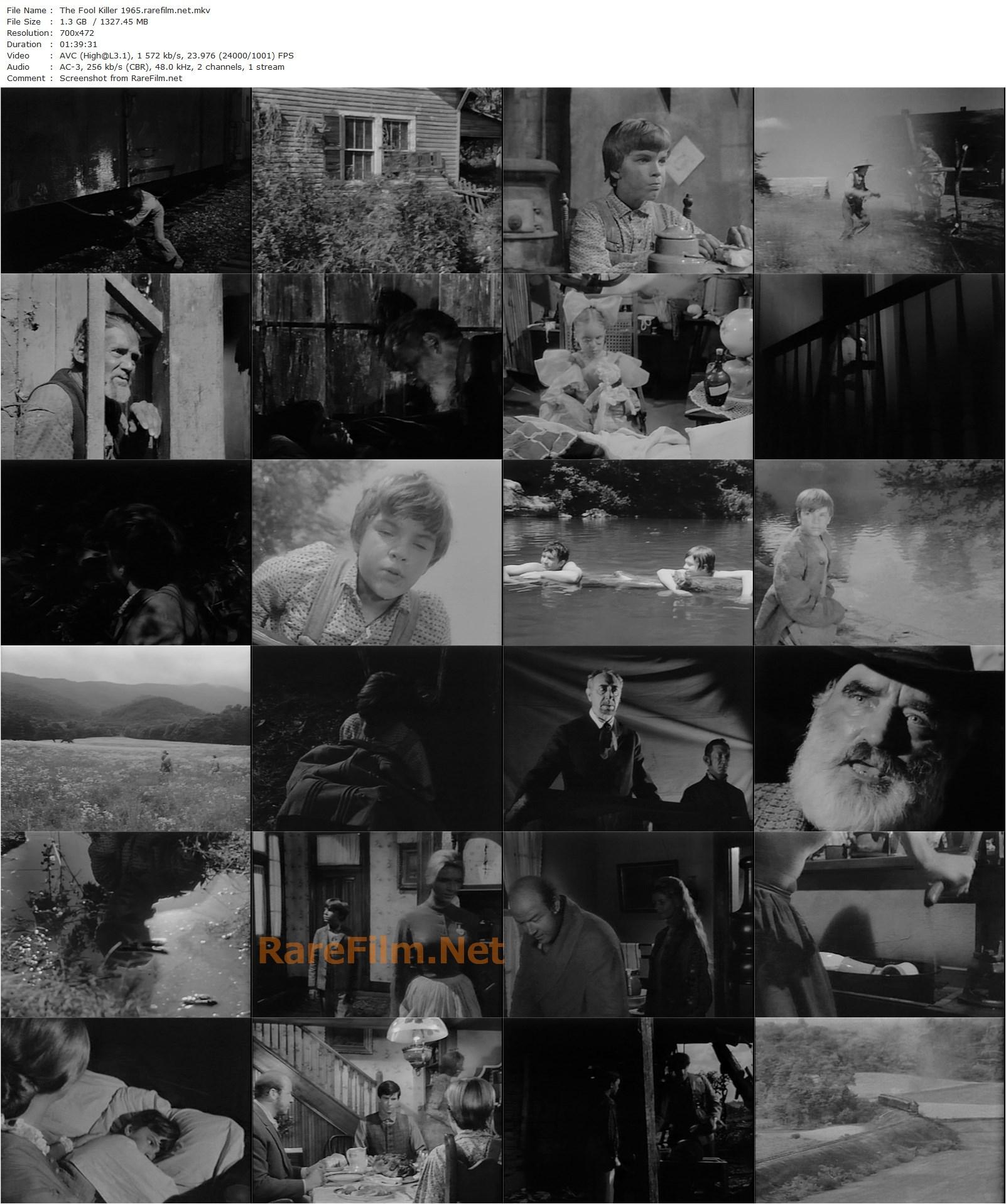 The Fool Killer (1965) Servando González, Anthony Perkins, Edward Albert, Henry Hull-poster