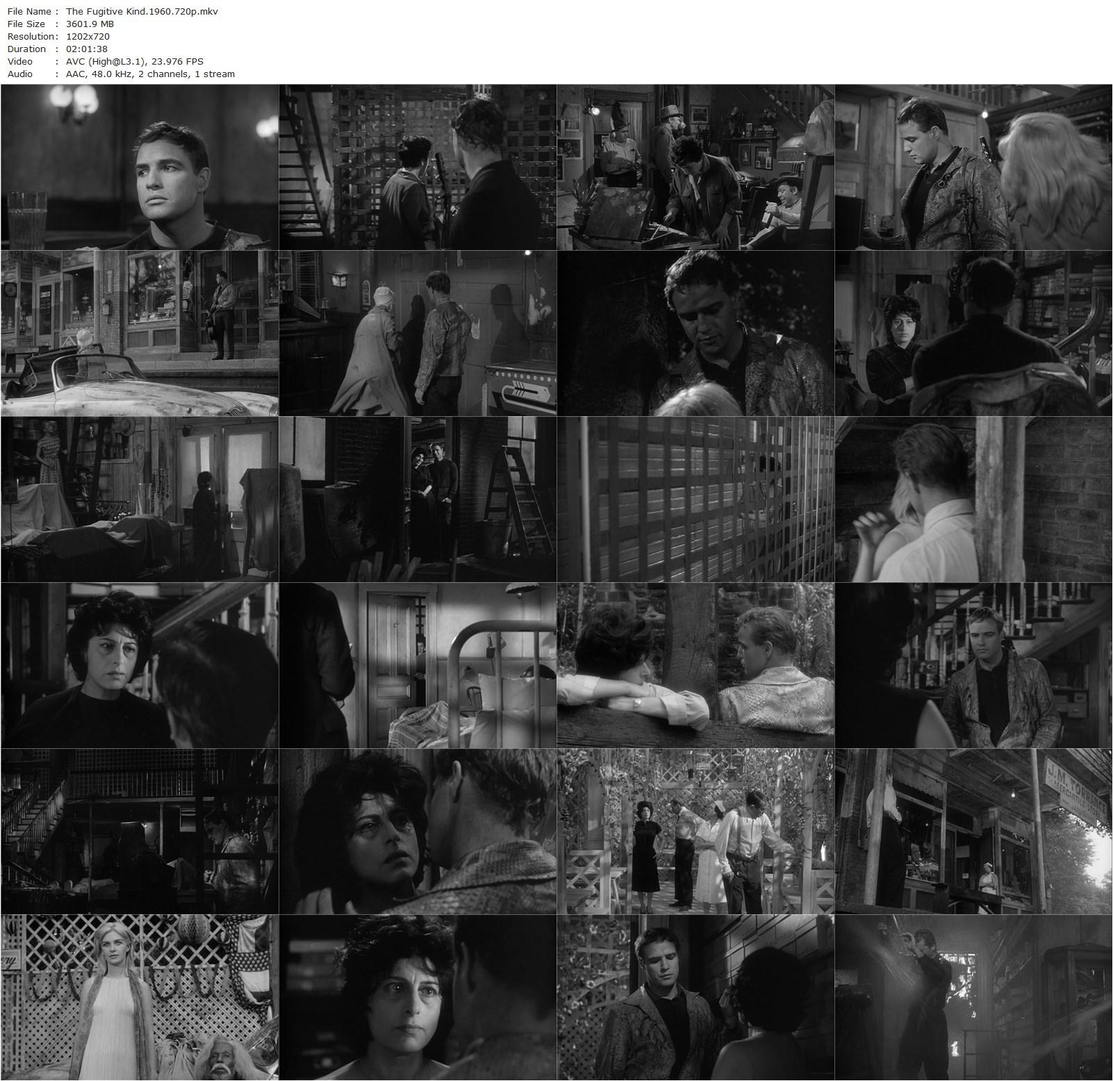 The Fugitive Kind (1960) Sidney Lumet, Marlon Brando, Joanne Woodward, Anna Magnani-poster