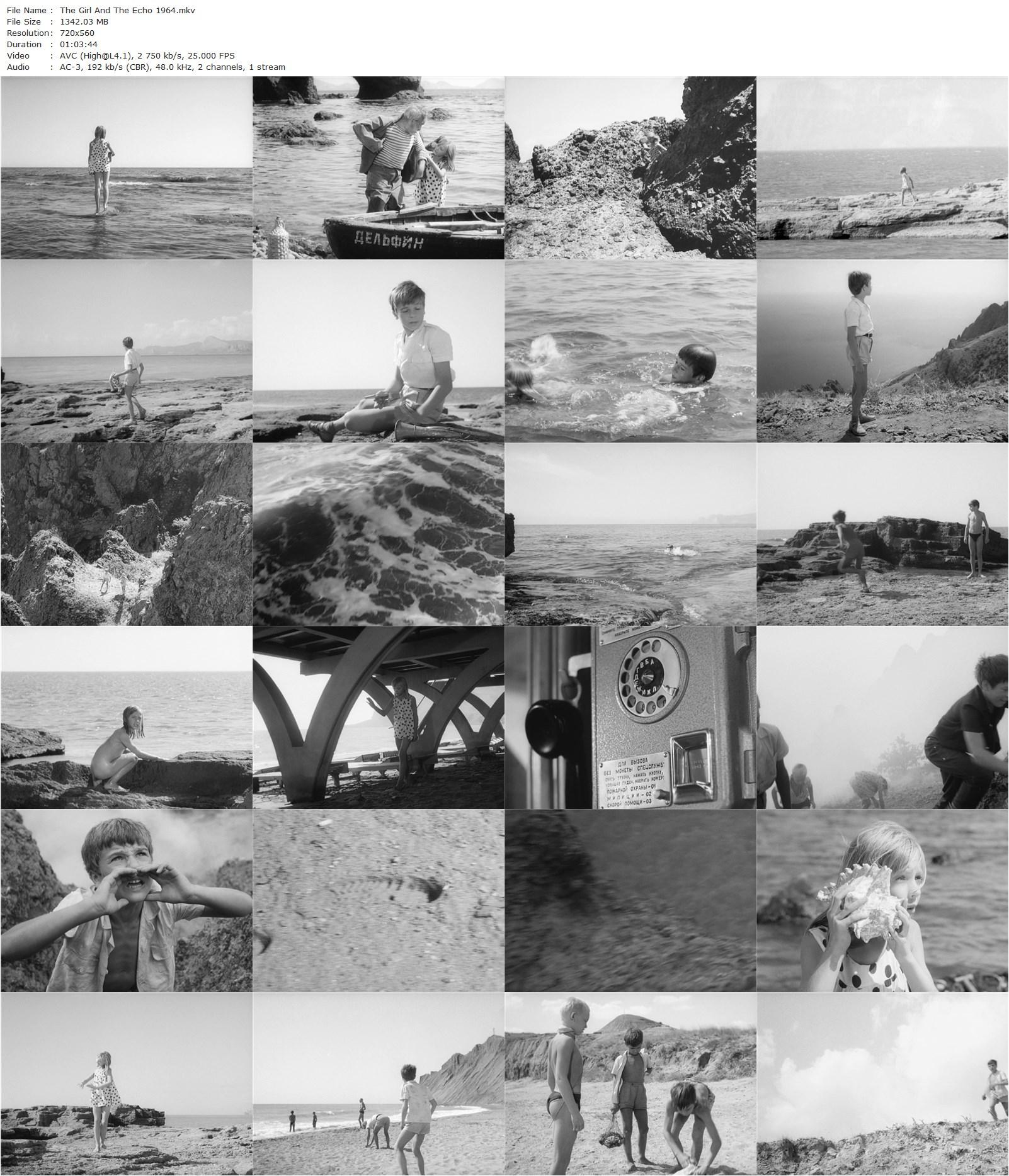 The Girl and the Echo AKA Paskutine atostogu diena (1964) Arunas Zebriunas, Lina Braknyte, Valeriy Zubarev, Bronius Babkauskas-poster