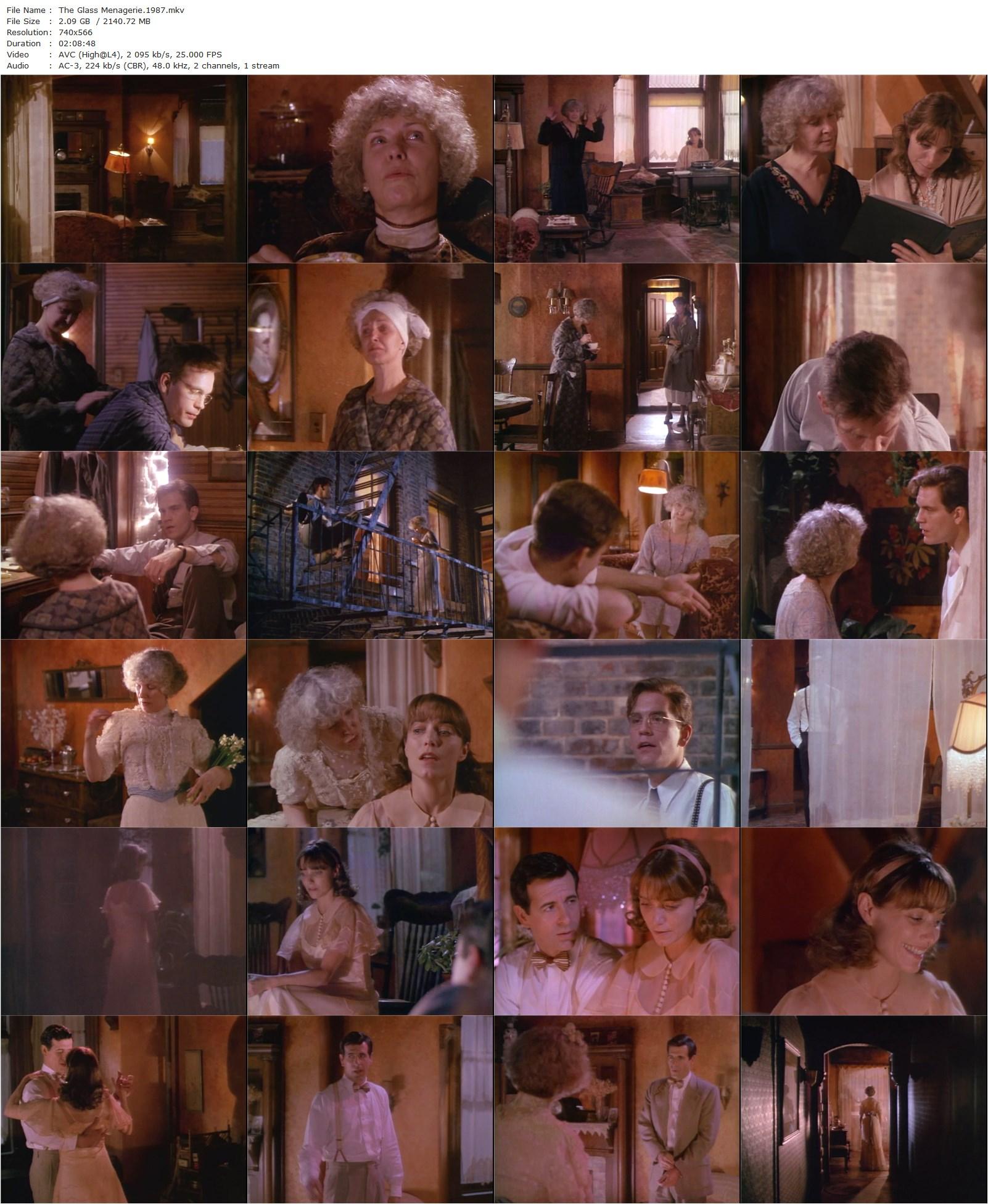 The Glass Menagerie (1987) Paul Newman, Joanne Woodward, John Malkovich, Karen Allen-poster