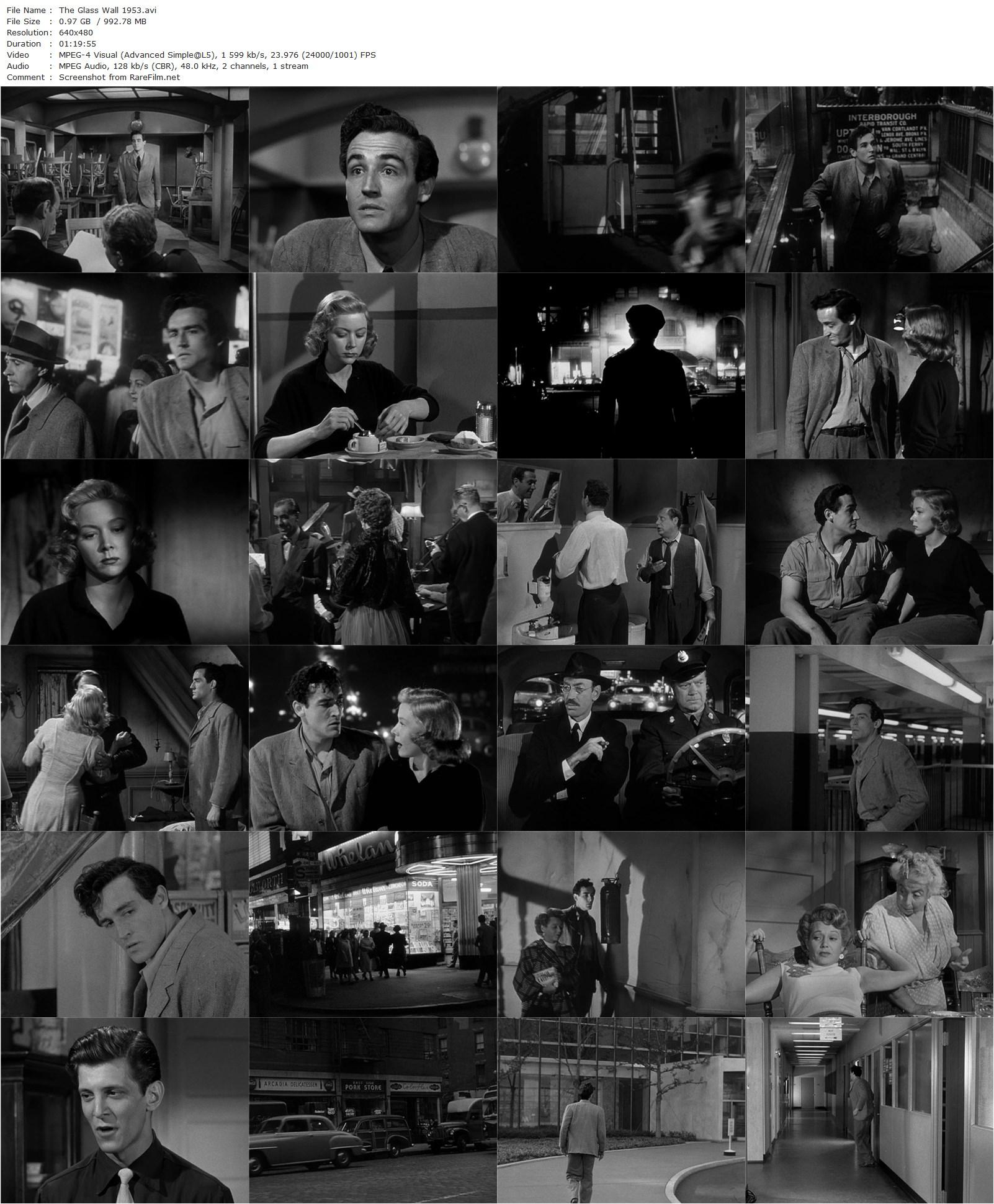 The Glass Wall (1953) Maxwell Shane, Vittorio Gassman, Gloria Grahame, Ann Robinson-poster