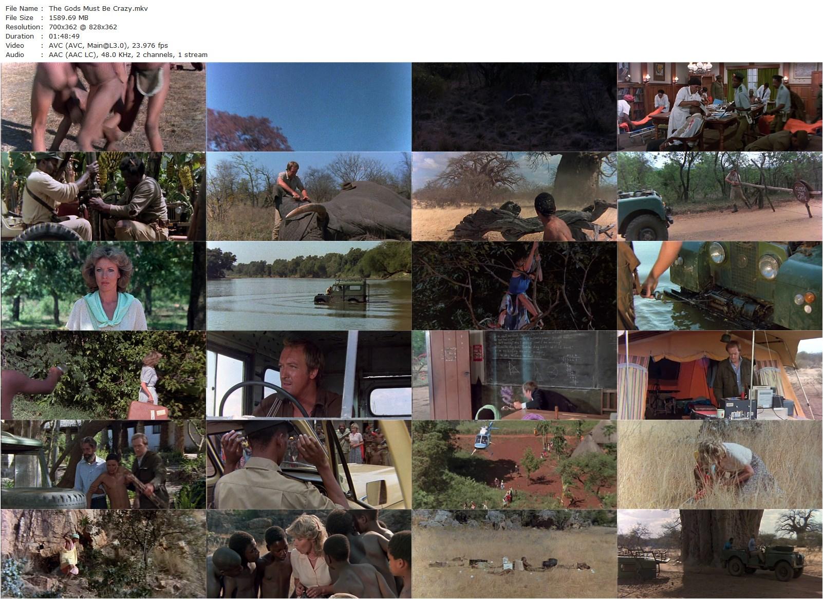 The Gods Must Be Crazy (1980) Jamie Uys, N!xau, Marius Weyers, Sandra Prinsloo-poster