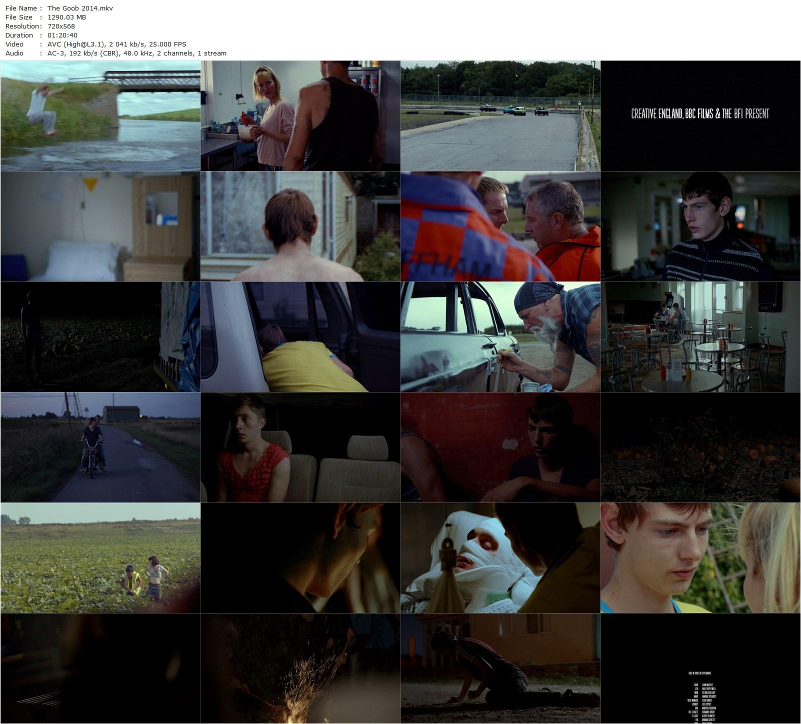 The Goob (2014) Guy Myhill, Sienna Guillory, Sean Harris, Hannah Spearritt-poster